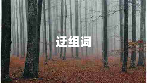 迂組詞