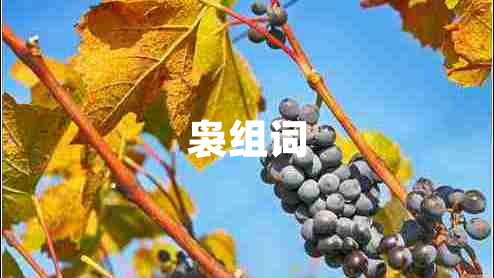 裊組詞