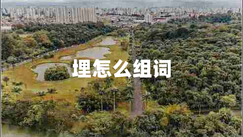 埋怎么組詞