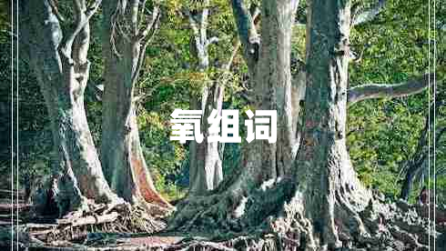 氧組詞