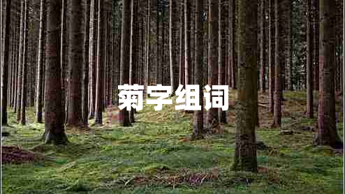 菊字組詞