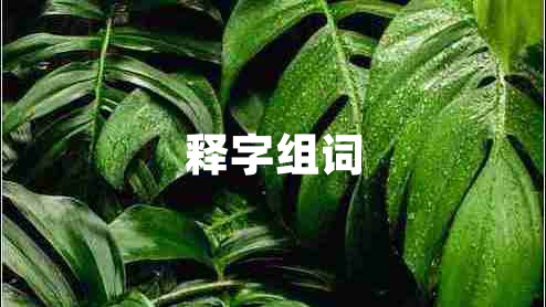 釋字組詞