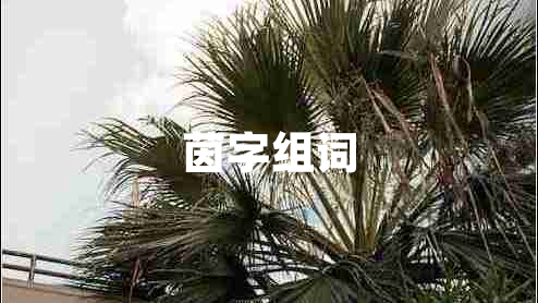 茵字組詞
