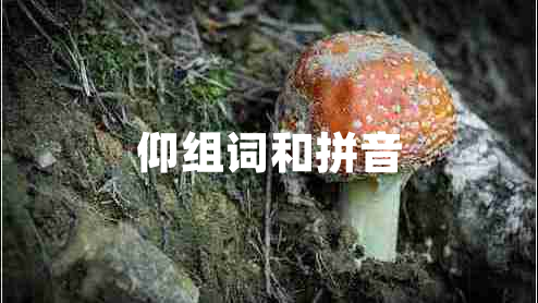 仰組詞和拼音