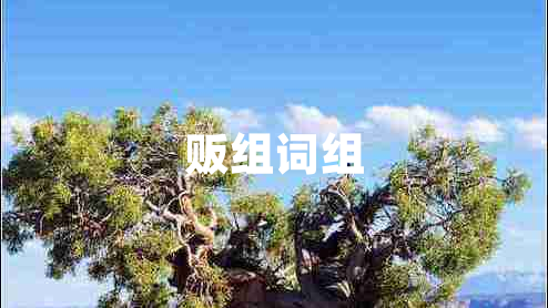 販組詞組
