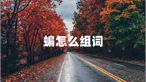 蝙怎么組詞