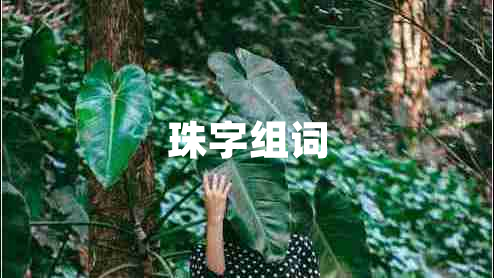 珠字組詞