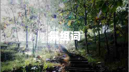 氛組詞