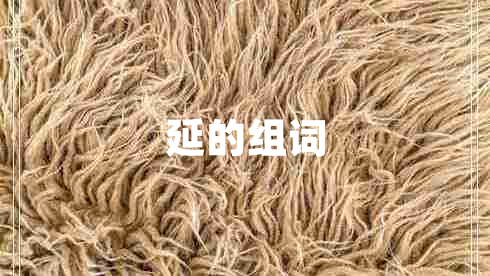 延的組詞
