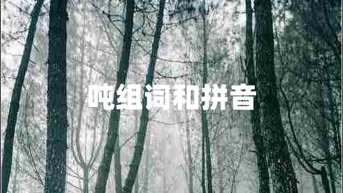 噸組詞和拼音