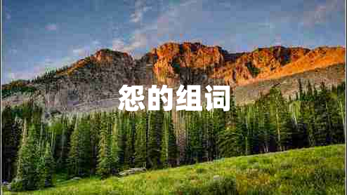 怨的組詞
