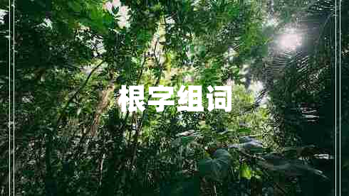 根字組詞