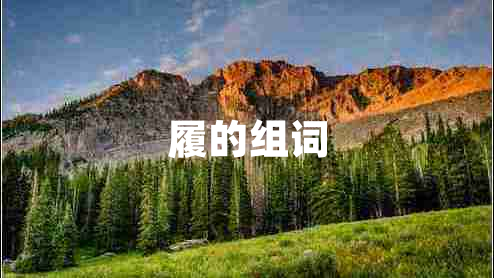 履的組詞