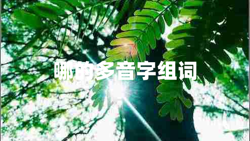 哪的多音字組詞