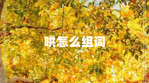 哄怎么組詞