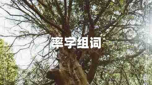 率字組詞