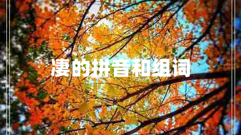 凄的拼音和組詞