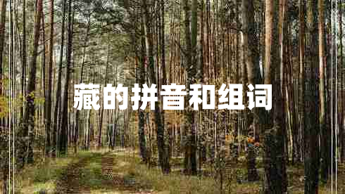 藏的拼音和組詞