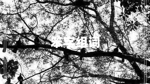 笨字組詞