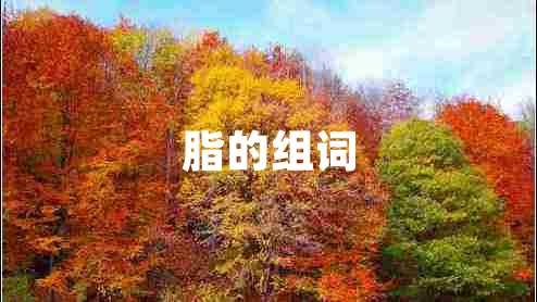脂的組詞