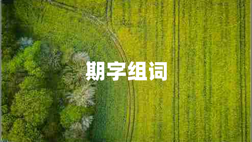 期字組詞