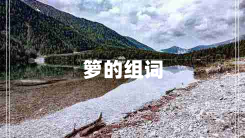籮的組詞