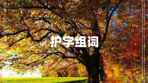 護(hù)字組詞
