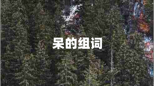 呆的組詞