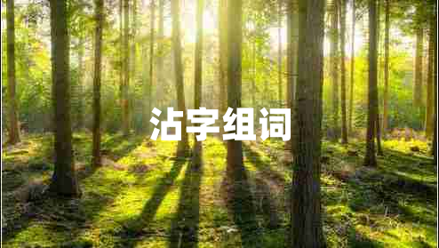 沾字組詞