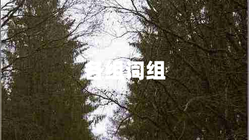 各組詞組