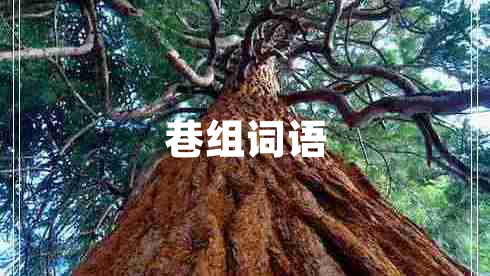 巷組詞語(yǔ)