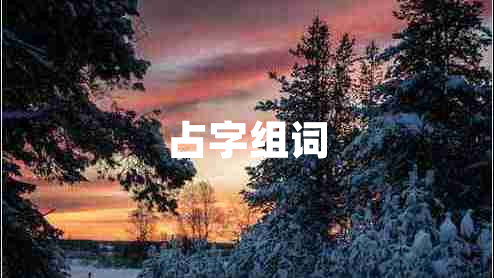 占字組詞