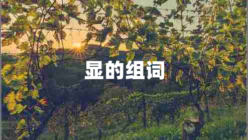 顯的組詞