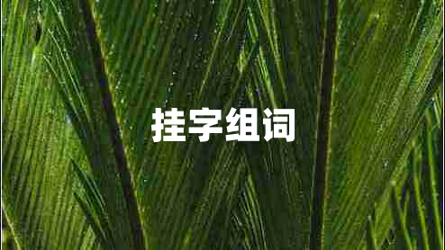 掛字組詞