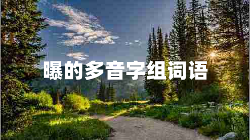 曝的多音字組詞語(yǔ)