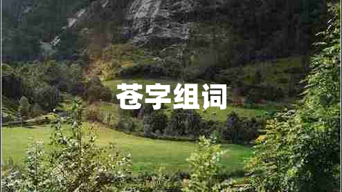 蒼字組詞