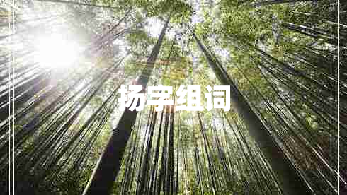 揚字組詞