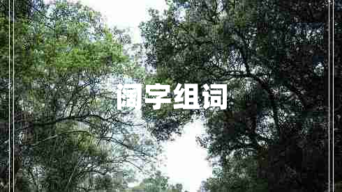 闊字組詞