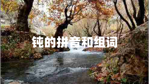 鈍的拼音和組詞
