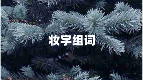 妝字組詞