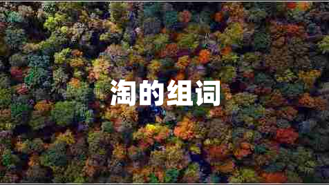 淘的組詞