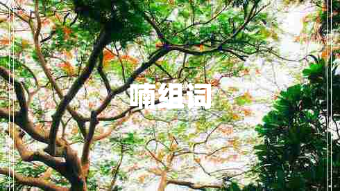 喃組詞