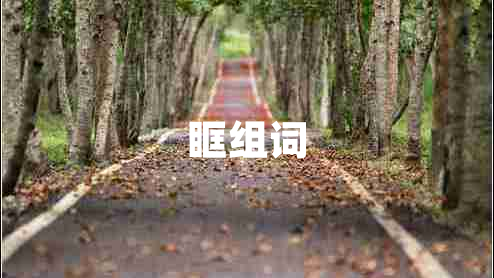 眶組詞