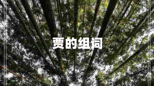 賈的組詞