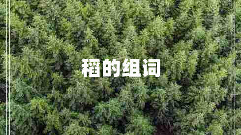 稻的組詞