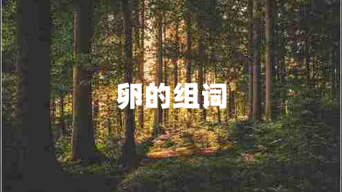 卵的組詞
