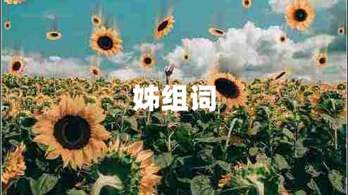 姊組詞