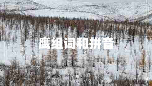 鷹組詞和拼音