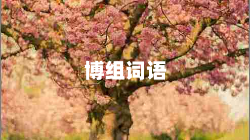 博組詞語(yǔ)