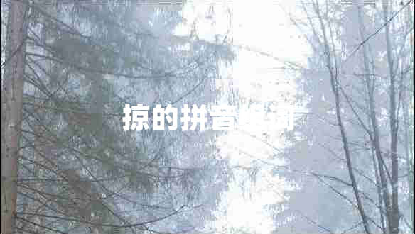 掠的拼音組詞